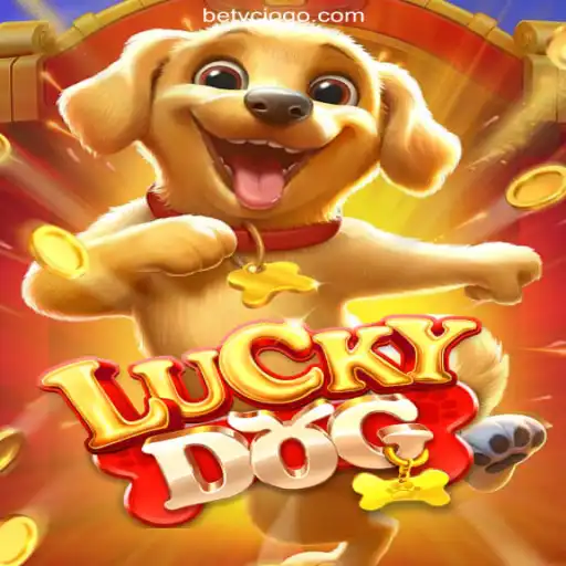 Unveiling the Thrills of LuckyDog on VCJogo.COM: Brazil's Number One Slot Experience